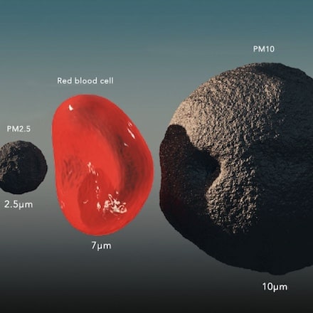 Size comparision of PM2.5, RBC and PM 10