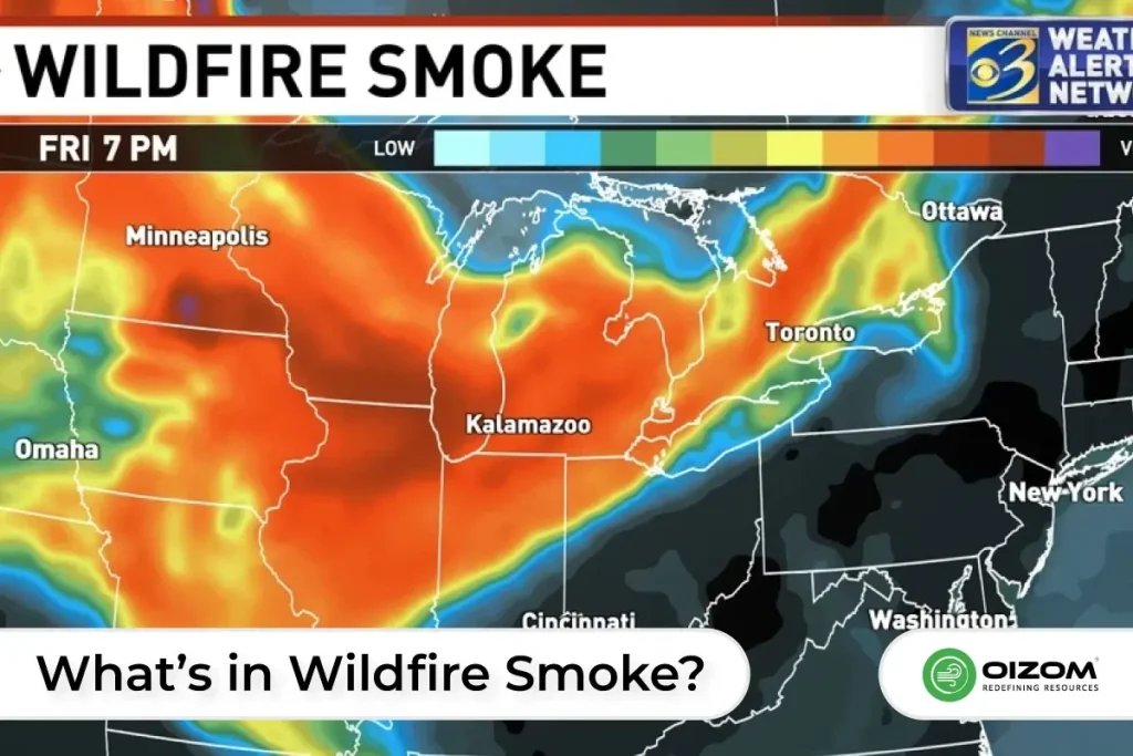 What’s in Wildfire Smoke