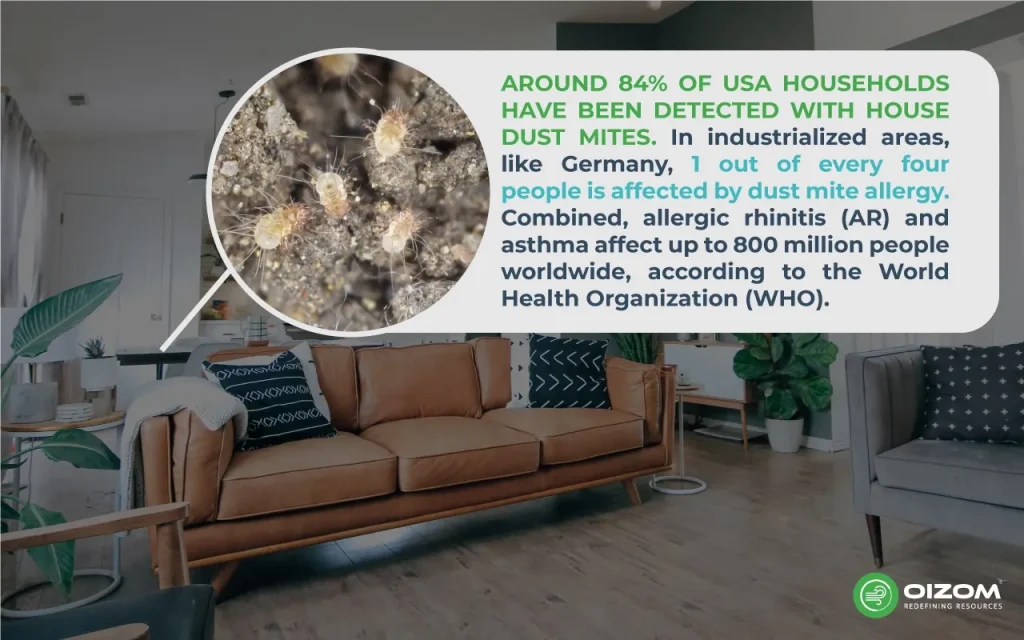Importance of recognizing and managing dust allergy symptoms