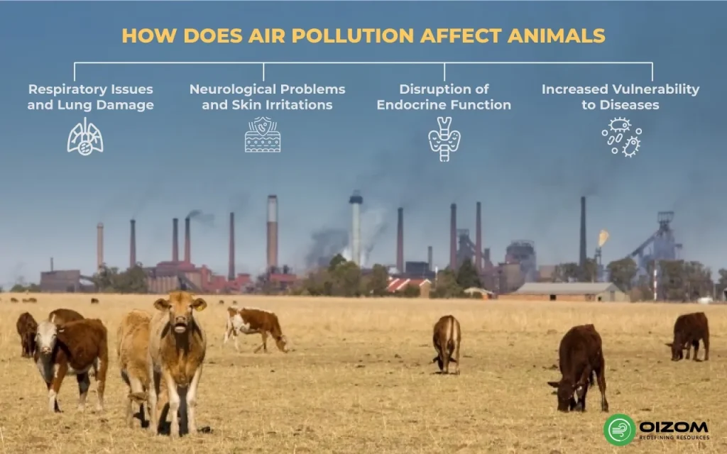 Effects of Air Pollution on Animals