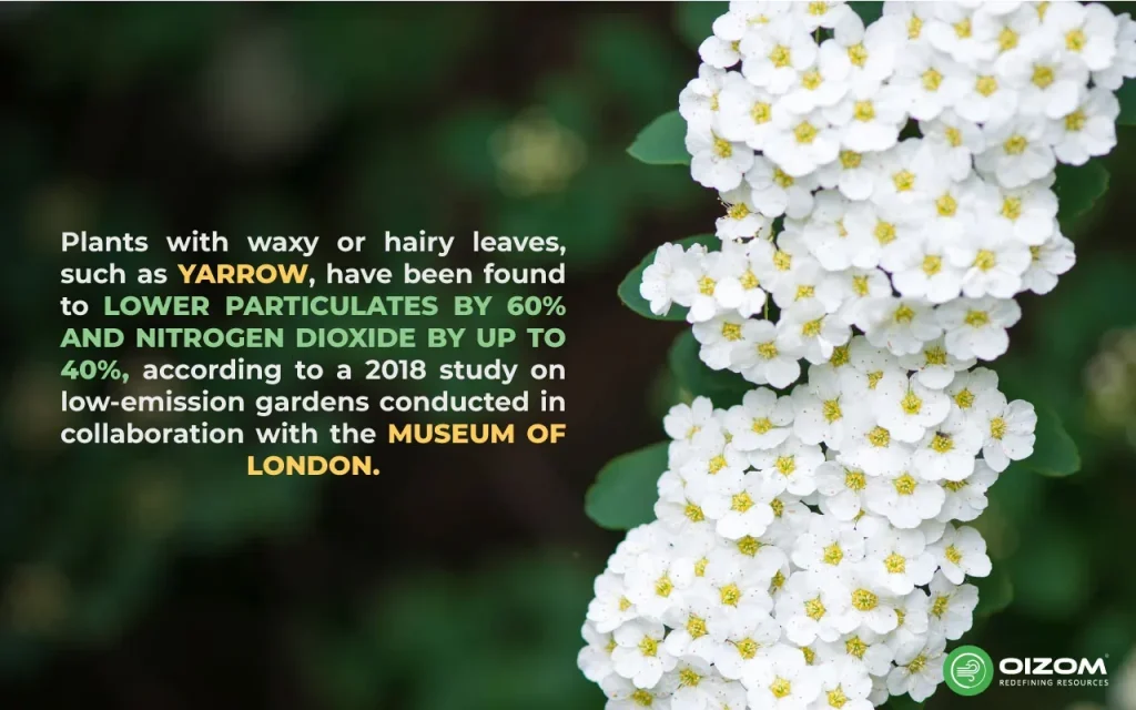 Supporting Urban Gardening Initiatives to improve Outdoor Air Quality