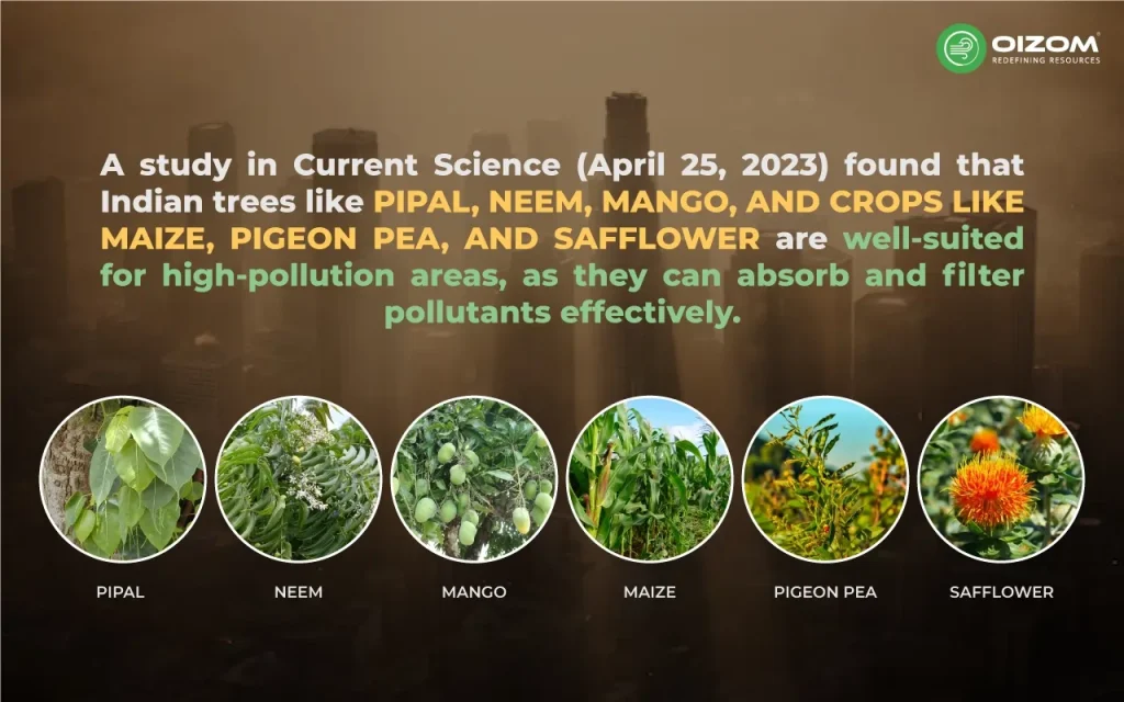 Study in Current Science about Indian trees on Air Quality