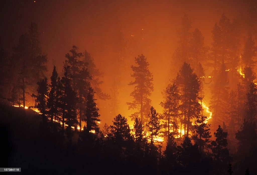 How to protect yourself from wildfire smoke?