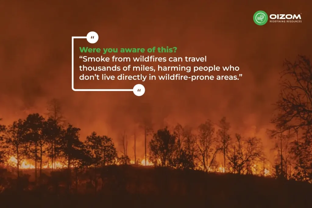 Fact about Smoke from Wildfires