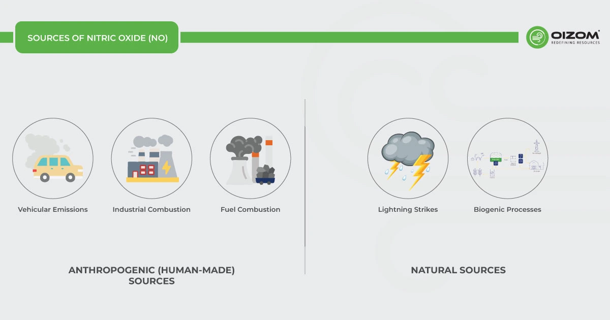 Sources of Nitric Oxide (NO)