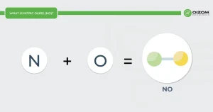 What is Nitric Oxide
