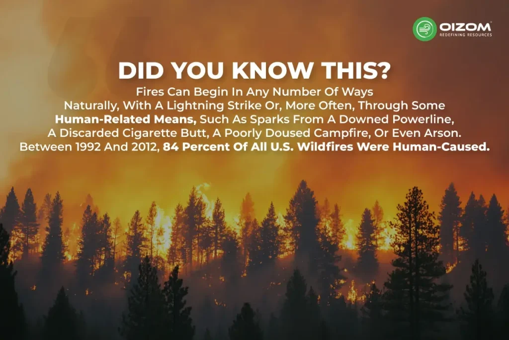 Understanding the connection between Air Pollution and Wildfires